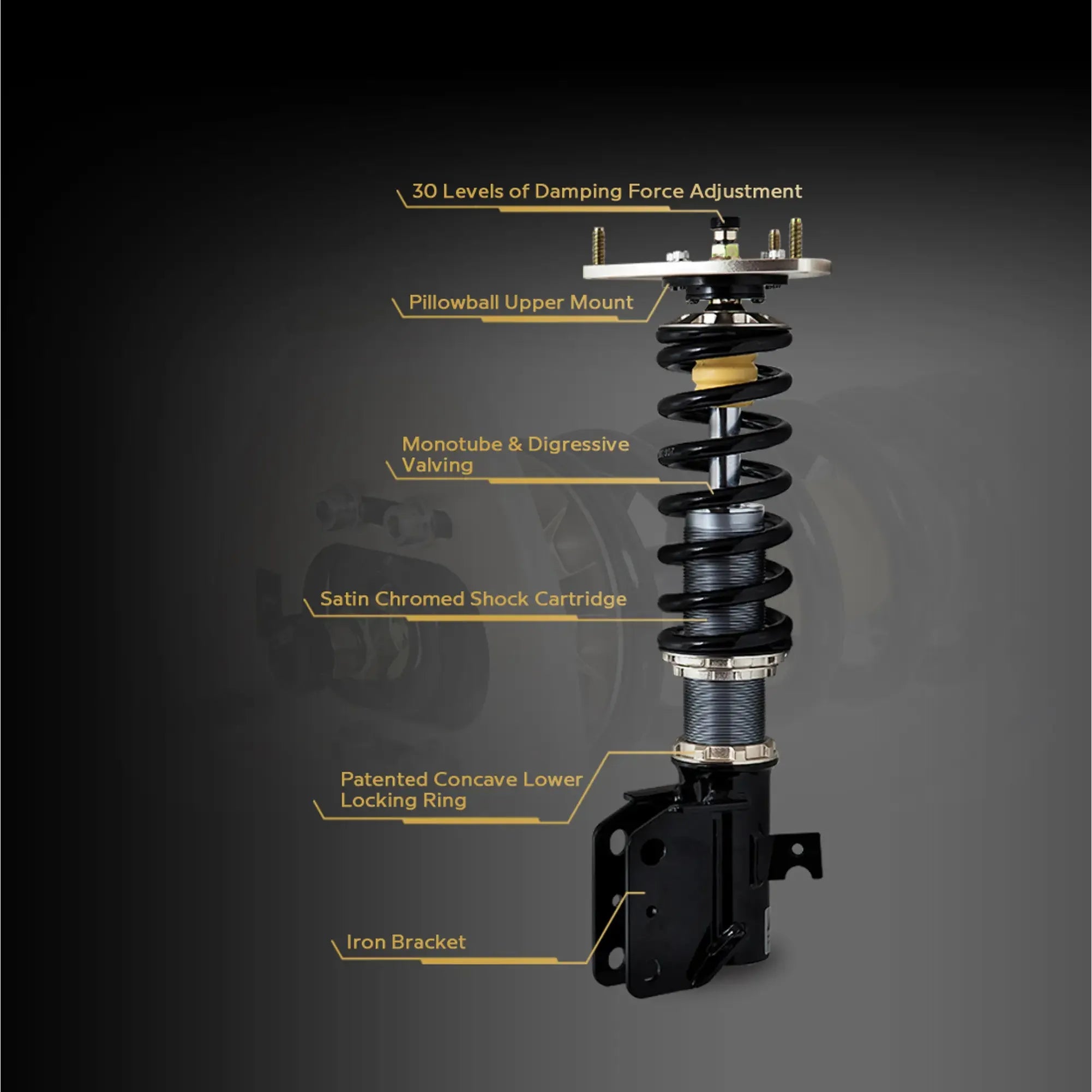 BC Racing Coilover Kit DS-DN fits BMW 3 SERIES (3 BOLT) (AWD) F30 12 19 (SKU I-41-DN)